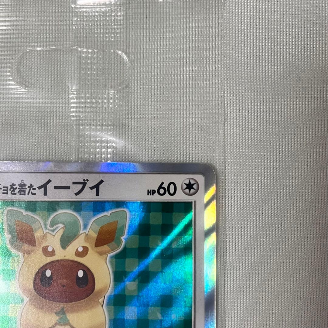 の*ん様 ポケモンカード　ポンチョを着たイーブイ　リーフィア
