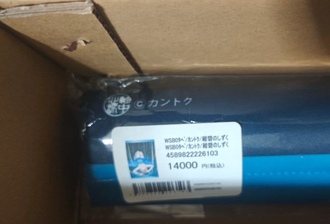 神絵祭 カントク先生 B0タペストリー