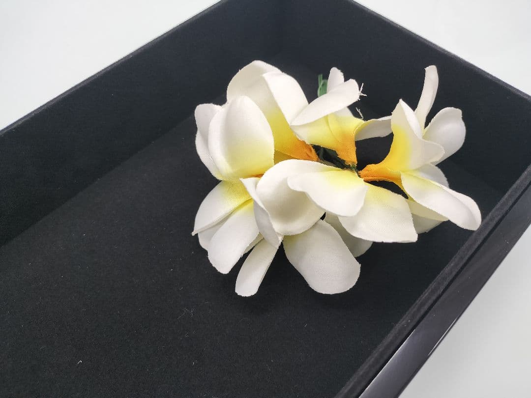 収納ケース ジュエリーケース 時計ケース 宝石箱 宝箱 コレクションケース