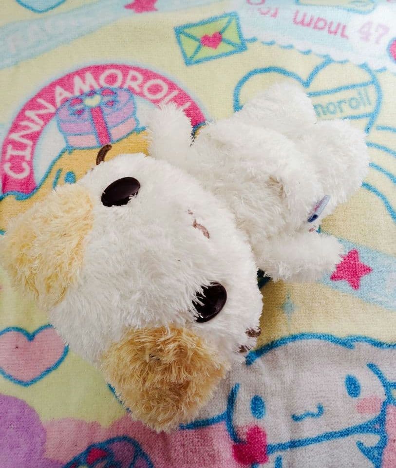 サンリオ♡マシュマロみたいなふわふわにゃんこ ぬいぐるみ【激レア】