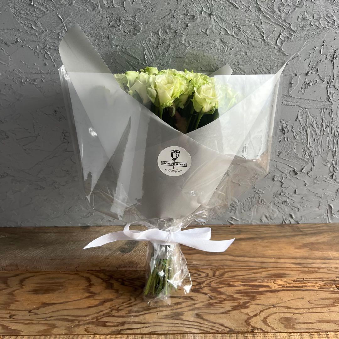 Vitaminカラー　アレンジMIX【生花・切り花】30cm 20本《画像参照》