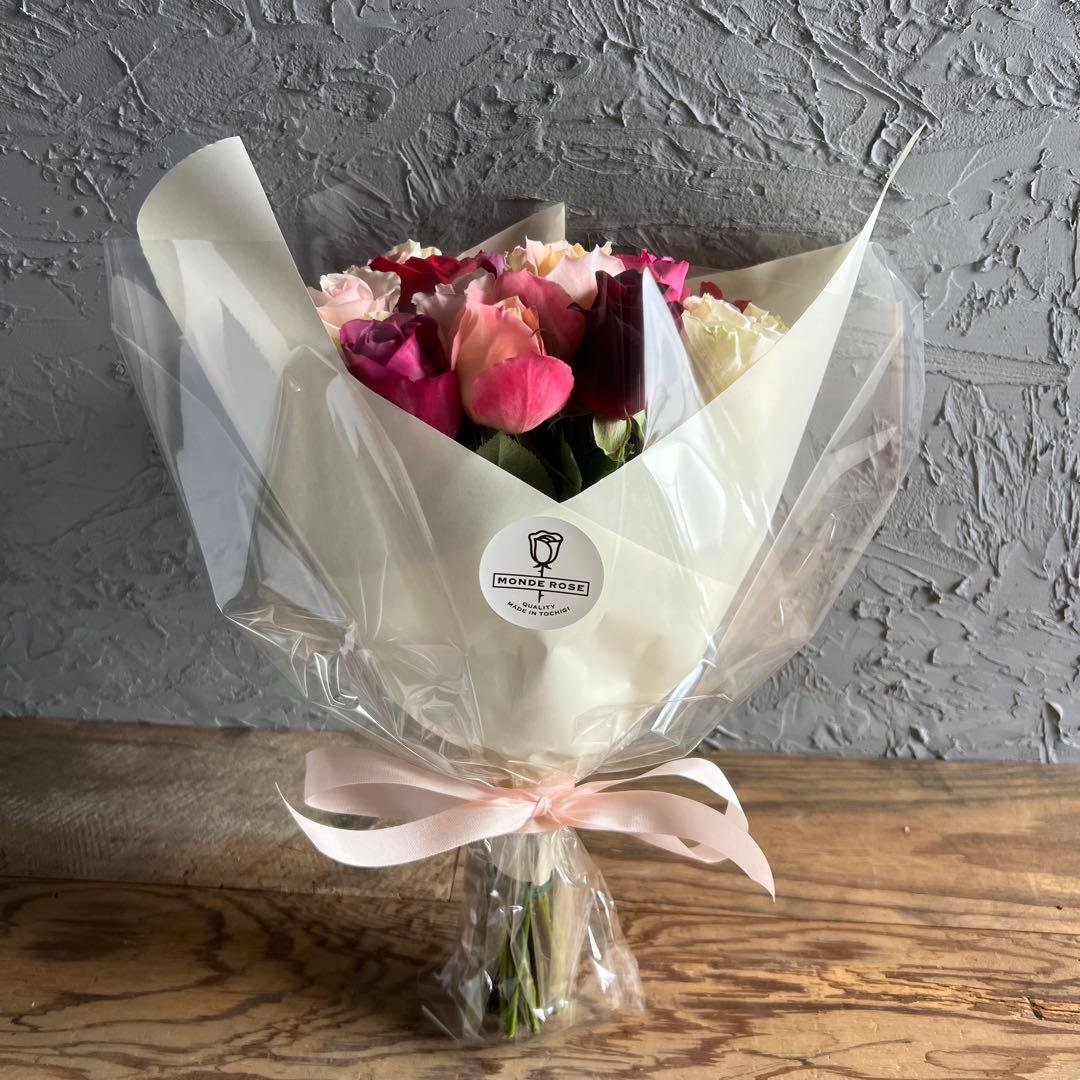 Vitaminカラー　アレンジMIX【生花・切り花】30cm 20本《画像参照》