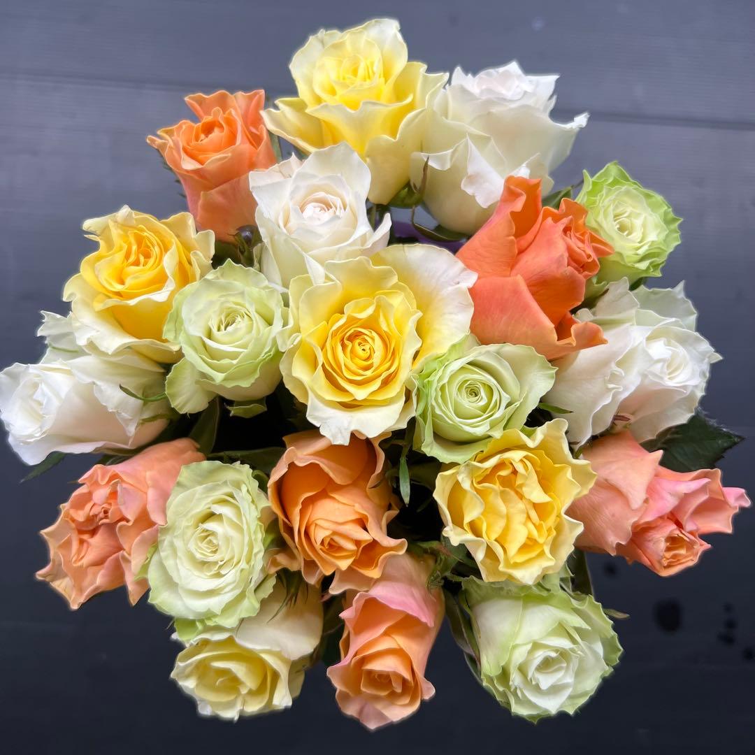 Vitaminカラー　アレンジMIX【生花・切り花】30cm 20本《画像参照》