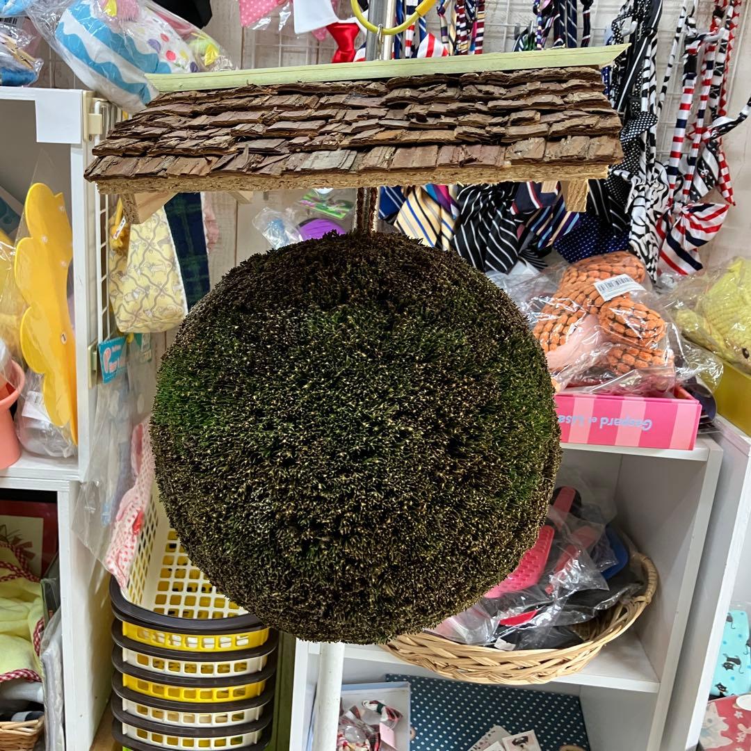 杉玉【屋根付き】②