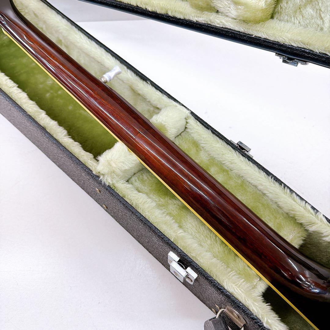 Aria アリア 5弦バンジョー SB-100 ハードケース