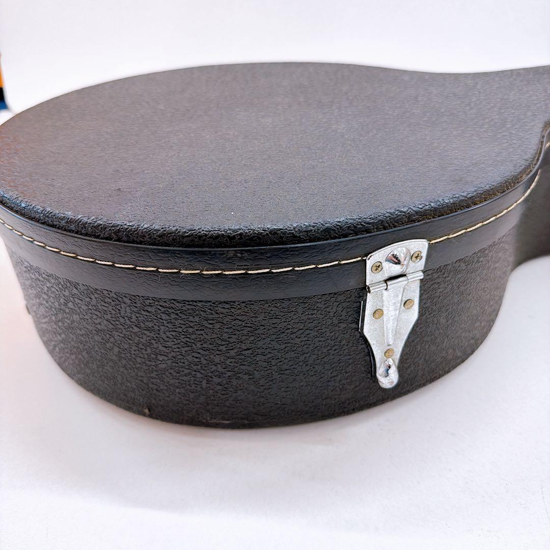 Aria アリア 5弦バンジョー SB-100 ハードケース