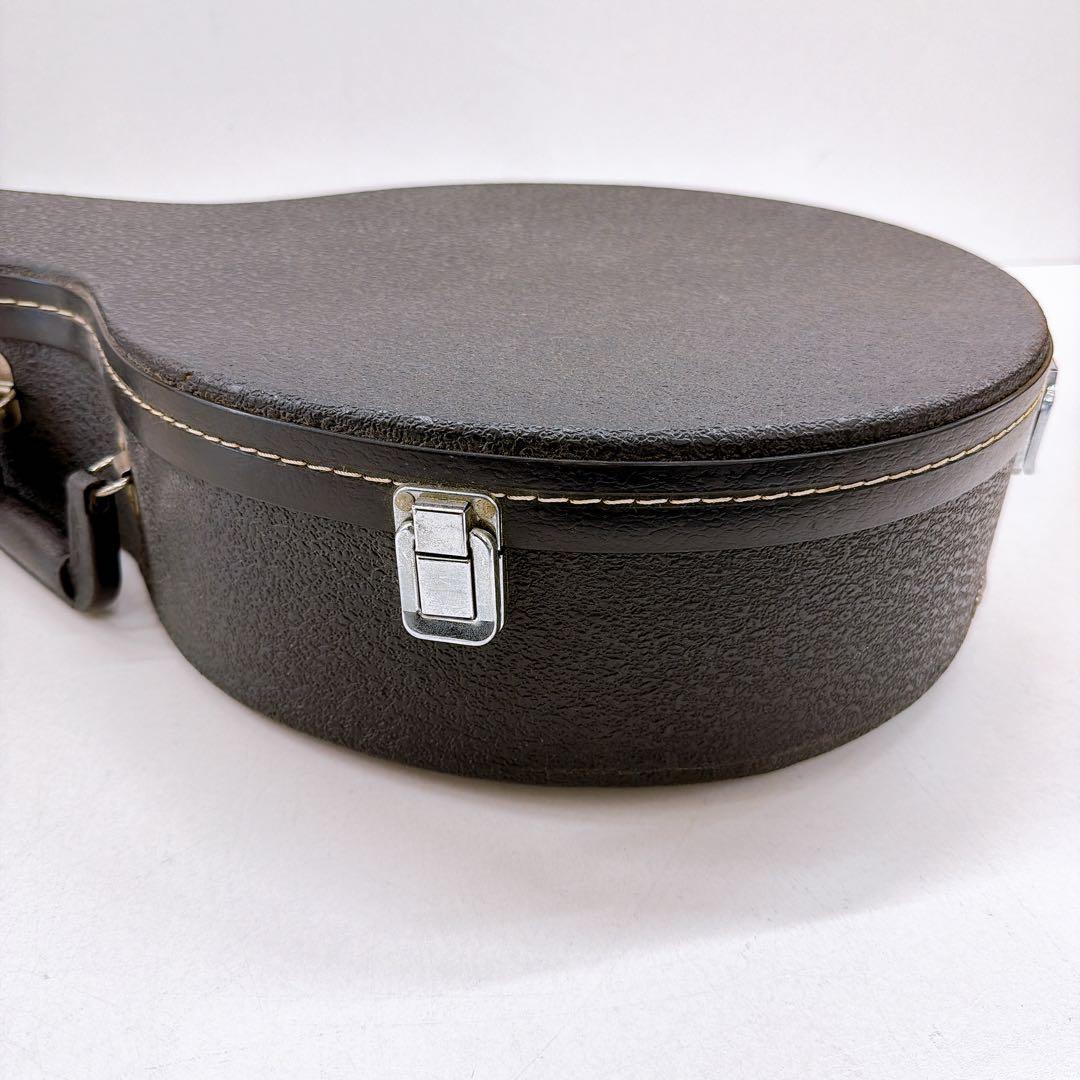 Aria アリア 5弦バンジョー SB-100 ハードケース