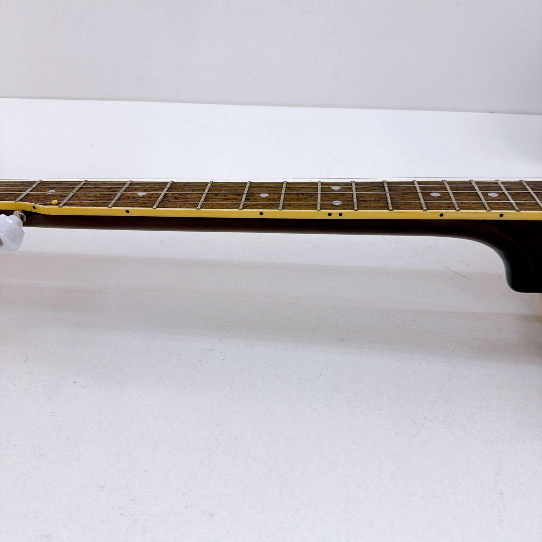 Aria アリア 5弦バンジョー SB-100 ハードケース