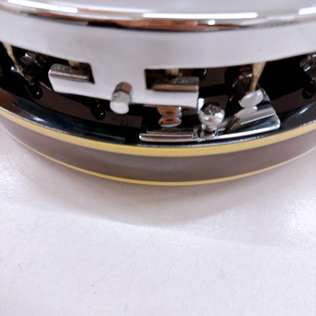 Aria アリア 5弦バンジョー SB-100 ハードケース