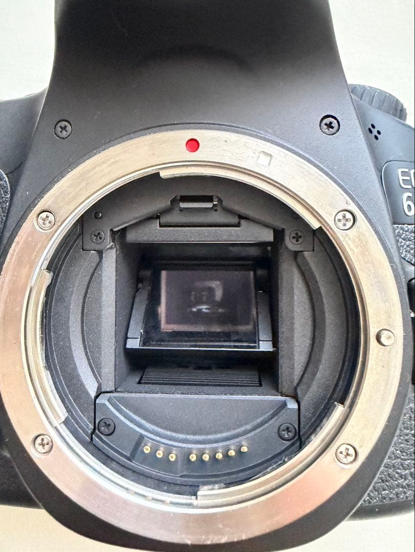 Canon EOS 60D 本体と付属品