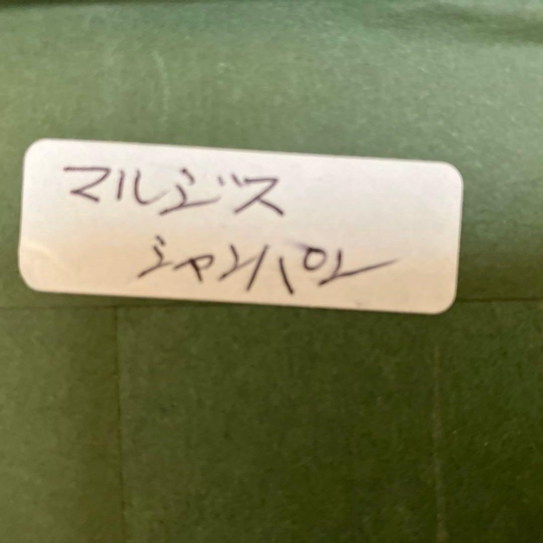 水彩画 女性と花の静物画