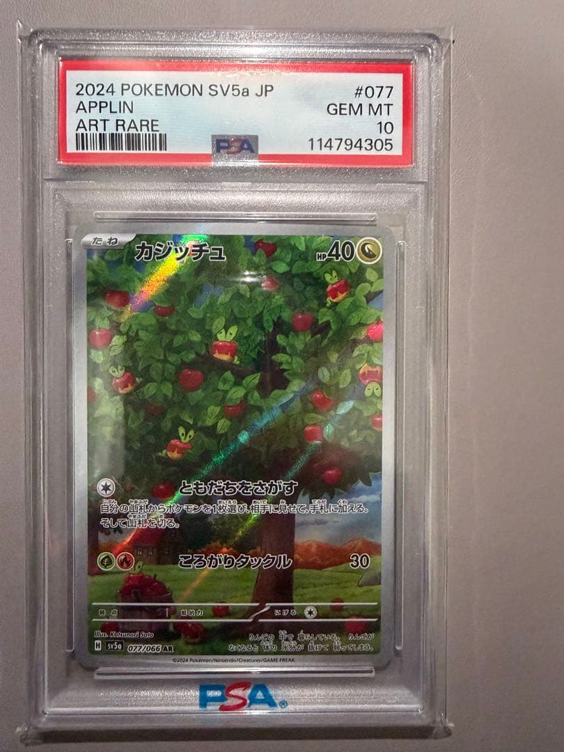 ポケモンカード　テラスタルフェスBOX×2 おまけつき