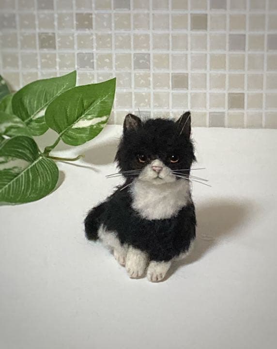 ハチワレ 子猫ちゃん sサイズ グラスアイ