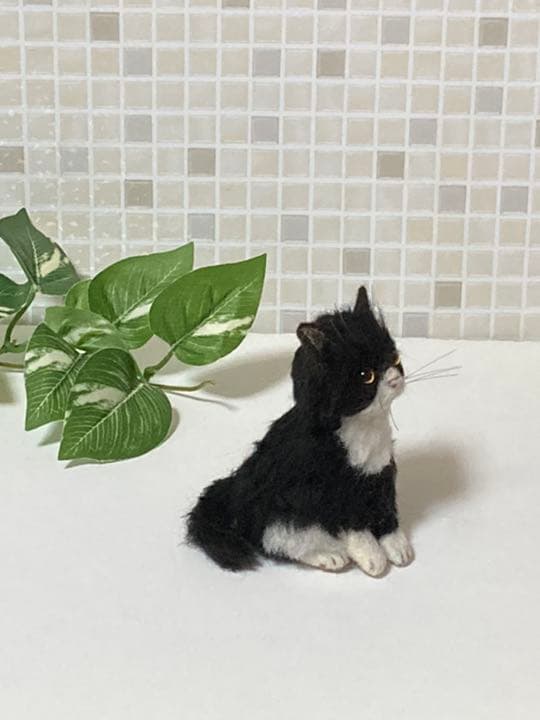 ハチワレ 子猫ちゃん sサイズ グラスアイ