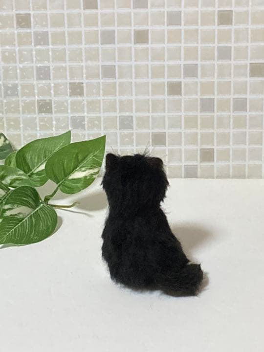 ハチワレ 子猫ちゃん sサイズ グラスアイ