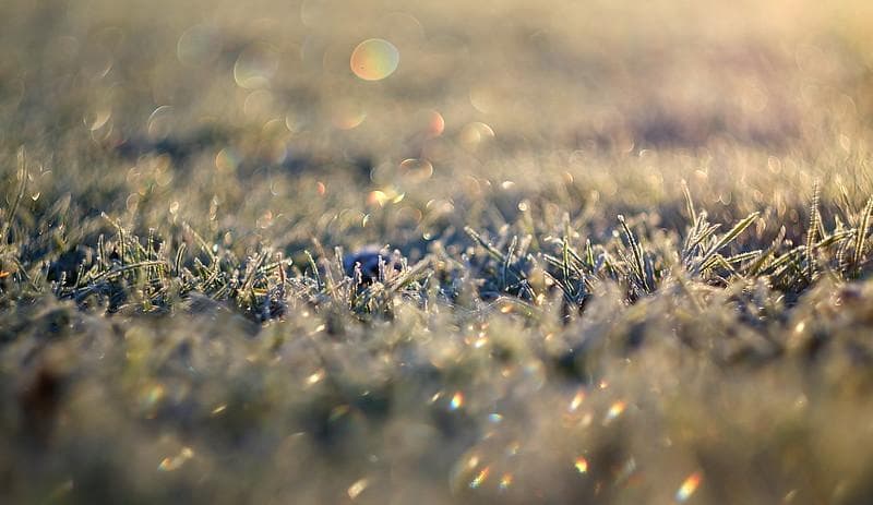 3 【希少】　後期ゼブラ　未使用　ぐるぐるボケレンズ　ヘリオス44-2　M42