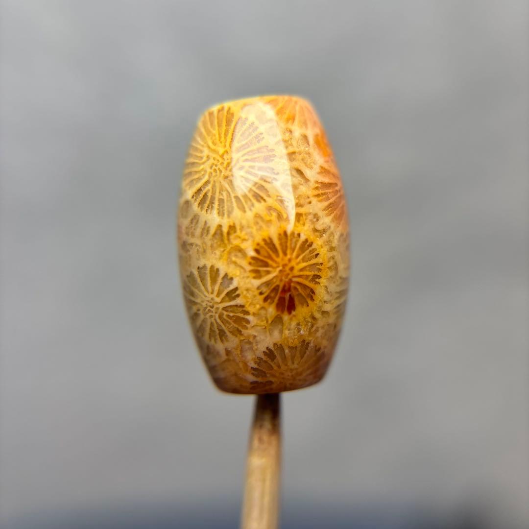 あずきちゃんフォッシルコーラル　天珠　1-324