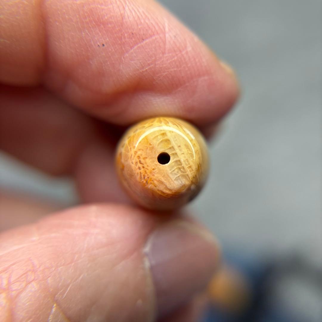 あずきちゃんフォッシルコーラル　天珠　1-324