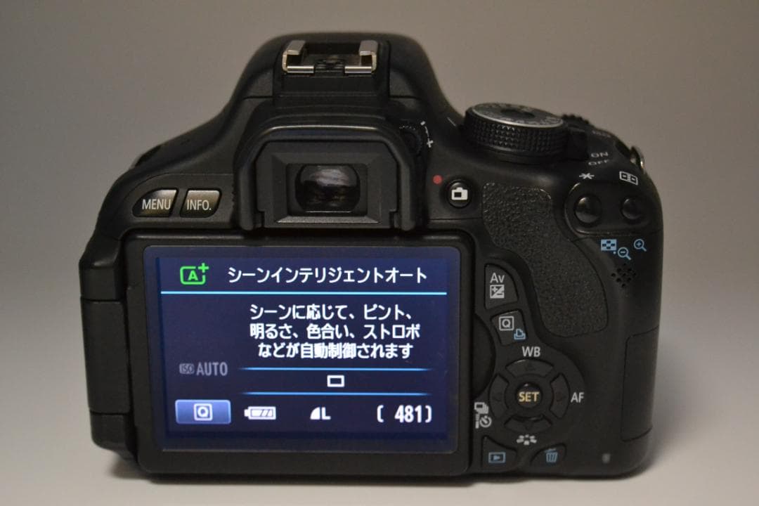 キャノン　Canon Kiss X5 18-270mm 望遠レンズセット