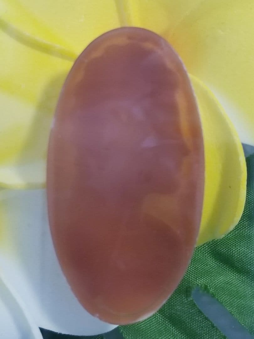 KS-205 【カルロ・パルラーティ作】天然シェルカメオルース