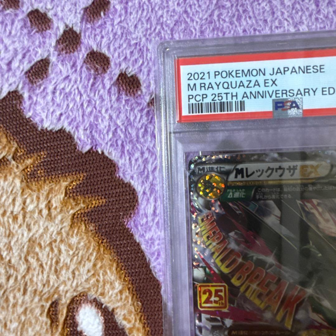 [PSA10]MレックウザEX 25周年