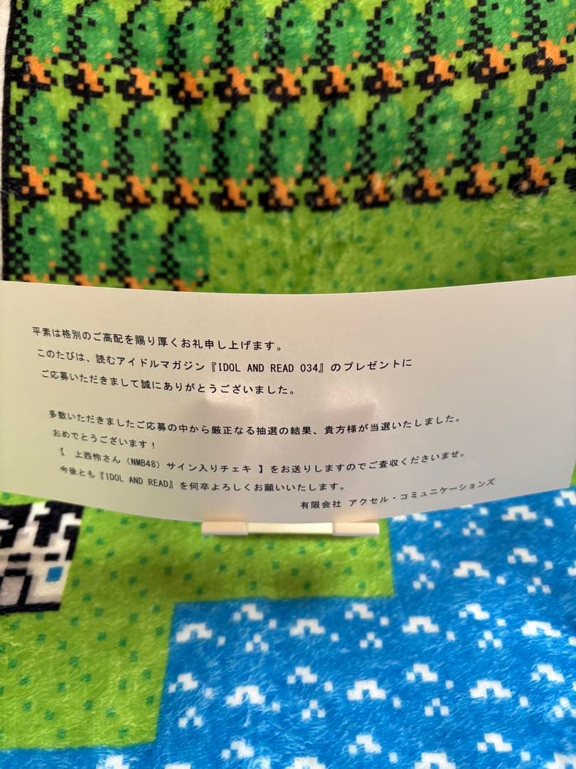 NMB48 上西怜　サイン入りチェキ