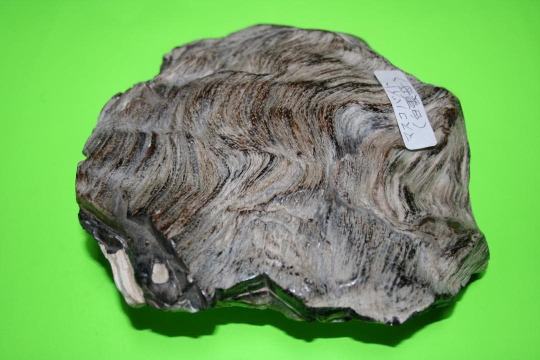 海外の鉱石　（白雲母）　（大型）