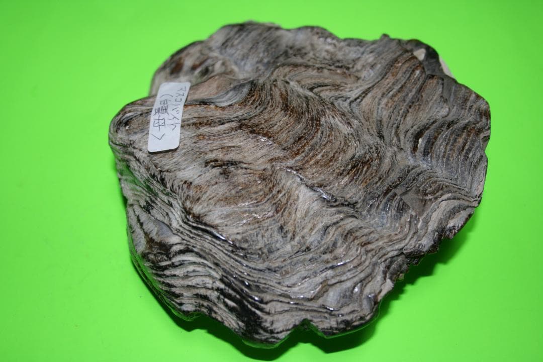 海外の鉱石　（白雲母）　（大型）