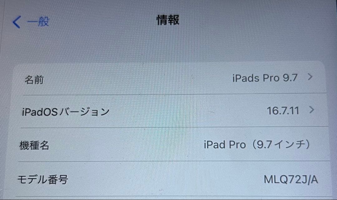 【SIMロック解除済み】 9.7インチ iPad Pro（2016） 256GB
