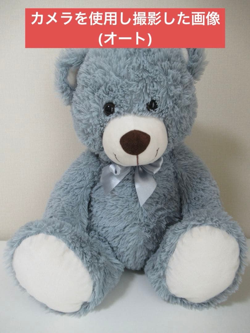 【動作確認済】キャノン　パワーショット SX620HS コンパクトデジタルカメラ