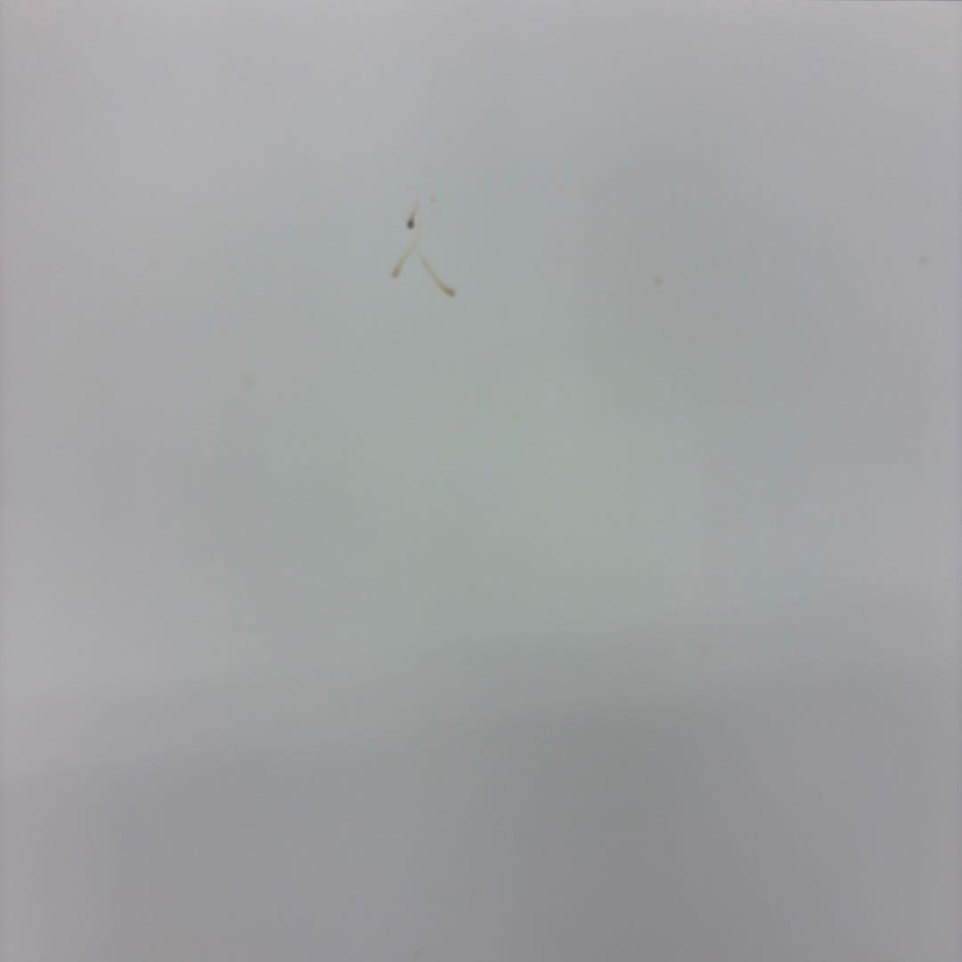 バガボンド b1ポスター 井上雄彦 最後のマンガ展