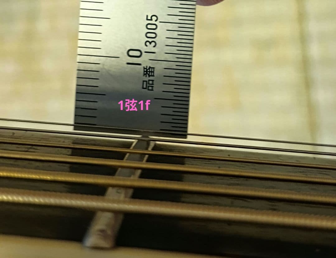 Larrivée OM-01 ラリビー Larrivee RITTERギグバッグ