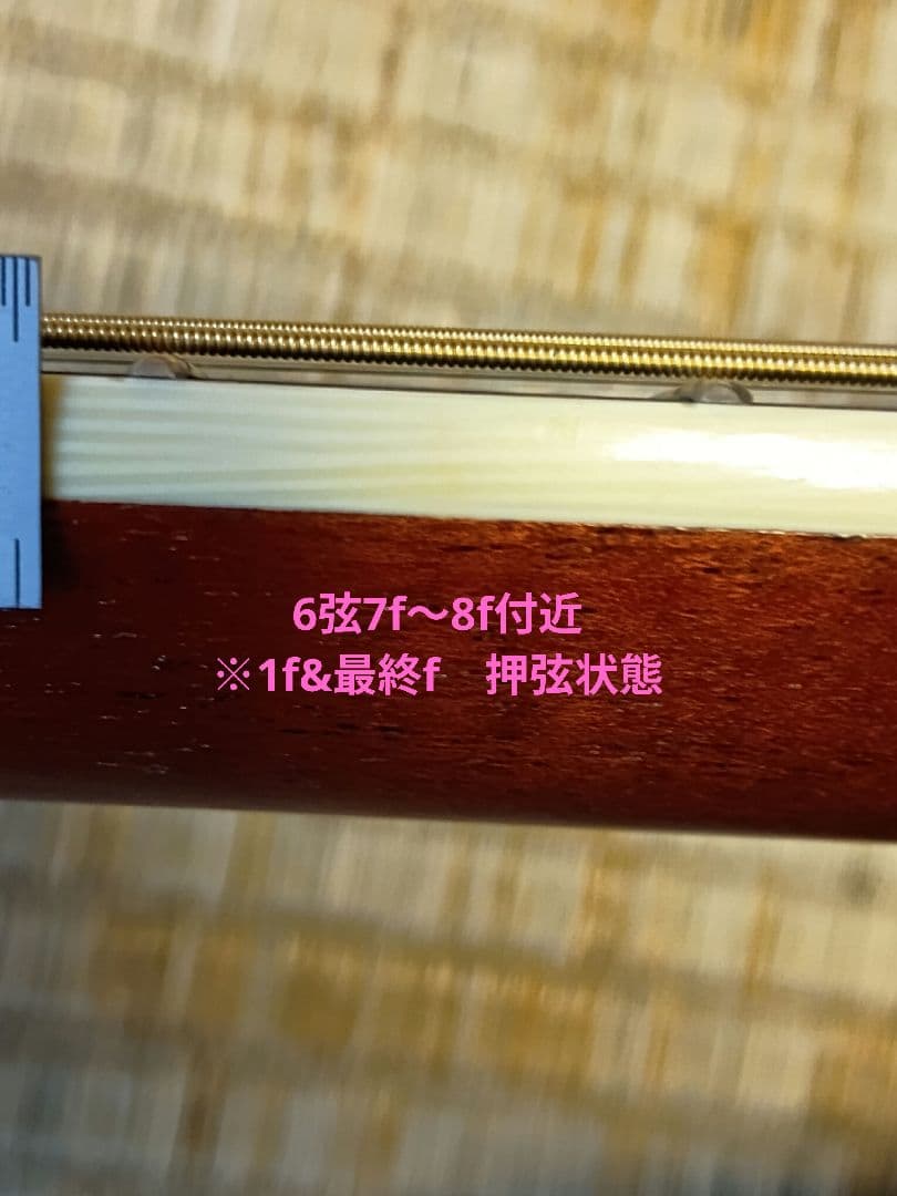 Larrivée OM-01 ラリビー Larrivee RITTERギグバッグ