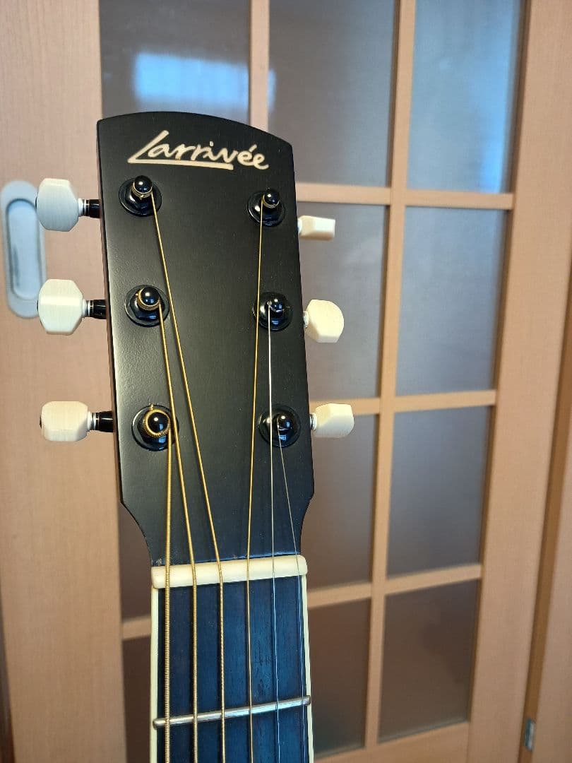 Larrivée OM-01 ラリビー Larrivee RITTERギグバッグ