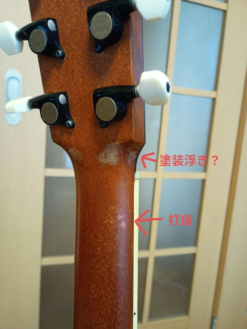 Larrivée OM-01 ラリビー Larrivee RITTERギグバッグ