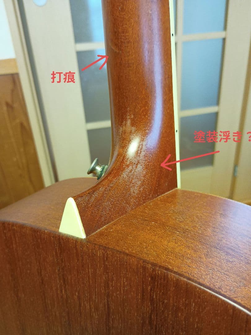 Larrivée OM-01 ラリビー Larrivee RITTERギグバッグ