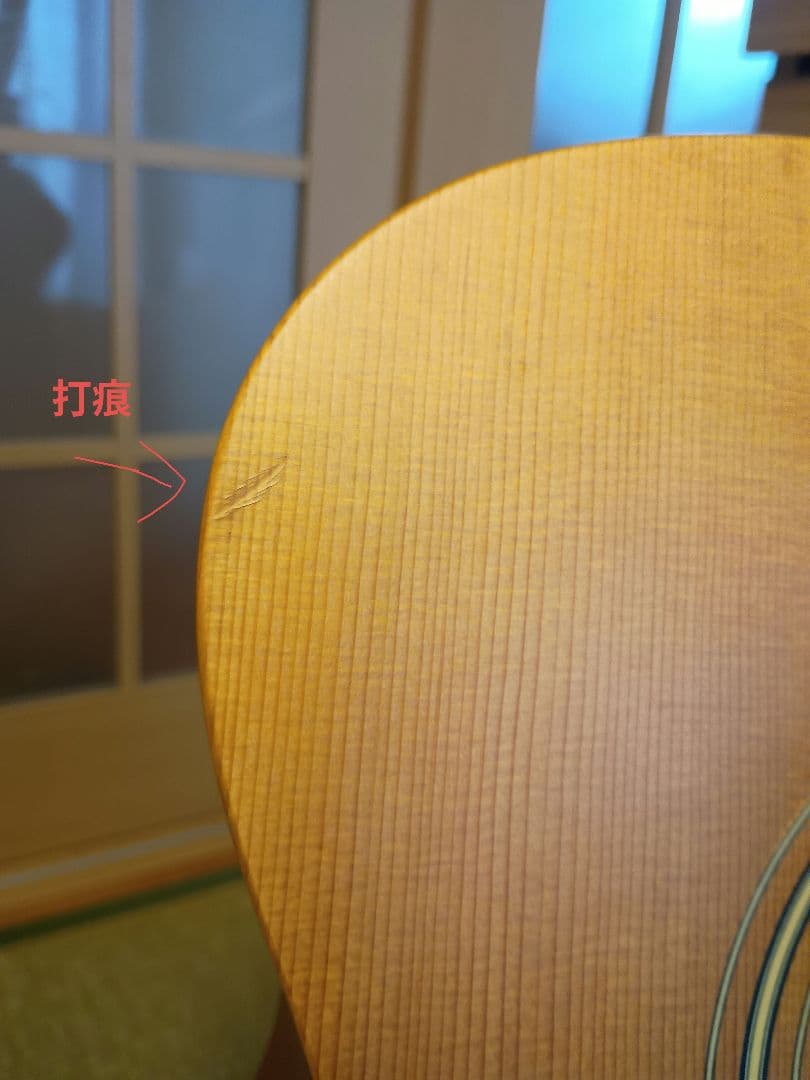 Larrivée OM-01 ラリビー Larrivee RITTERギグバッグ