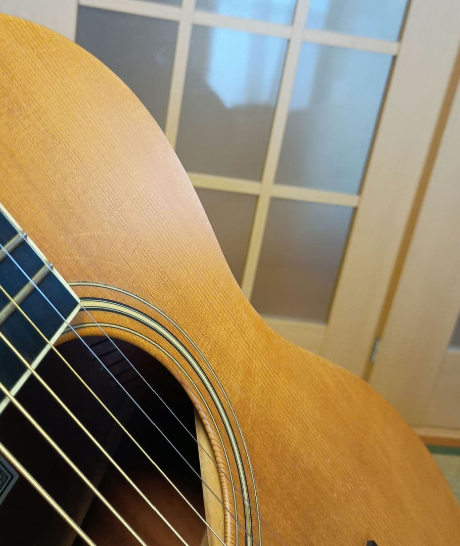 Larrivée OM-01 ラリビー Larrivee RITTERギグバッグ