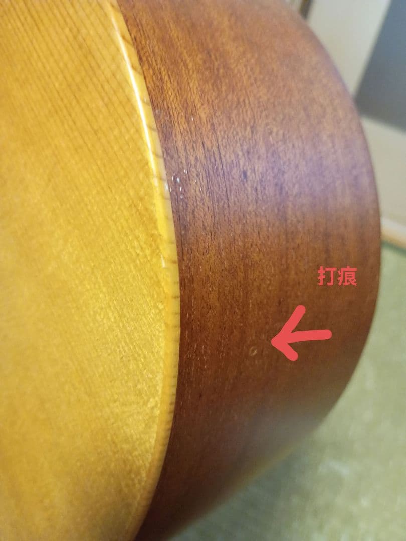 Larrivée OM-01 ラリビー Larrivee RITTERギグバッグ