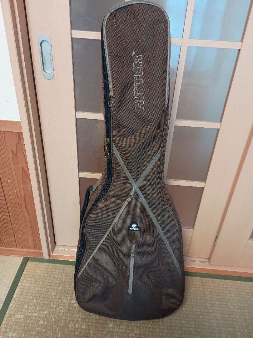 Larrivée OM-01 ラリビー Larrivee RITTERギグバッグ