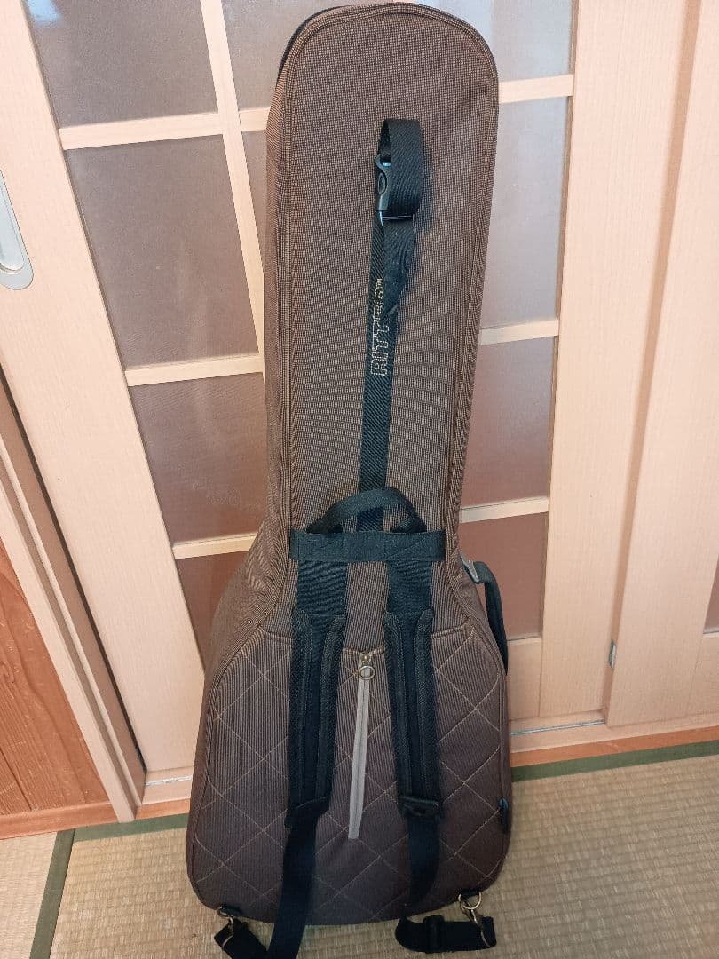 Larrivée OM-01 ラリビー Larrivee RITTERギグバッグ