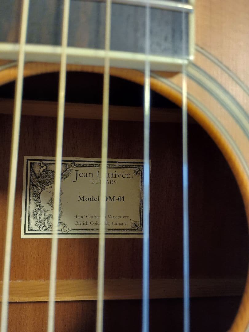 Larrivée OM-01 ラリビー Larrivee RITTERギグバッグ