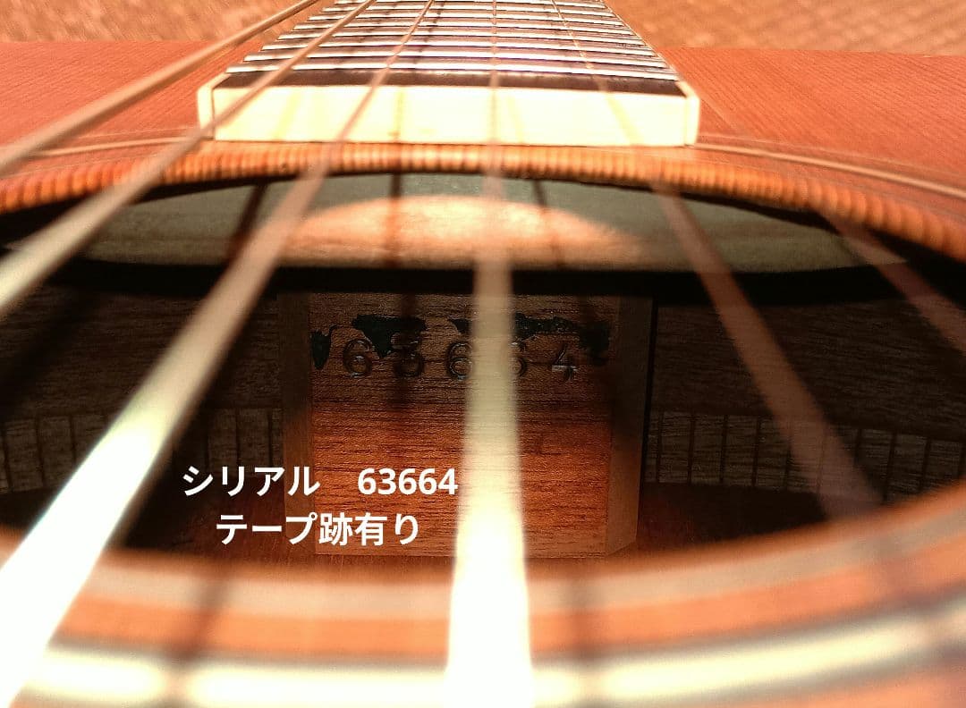 Larrivée OM-01 ラリビー Larrivee RITTERギグバッグ