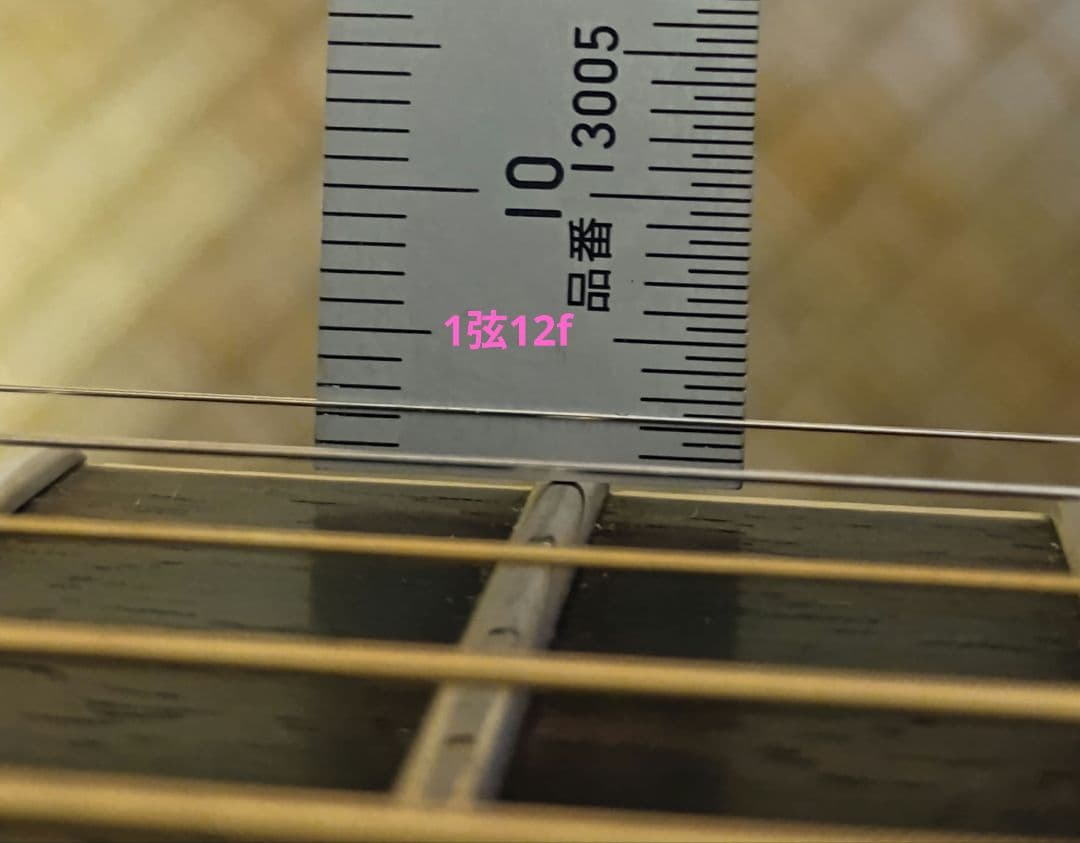 Larrivée OM-01 ラリビー Larrivee RITTERギグバッグ