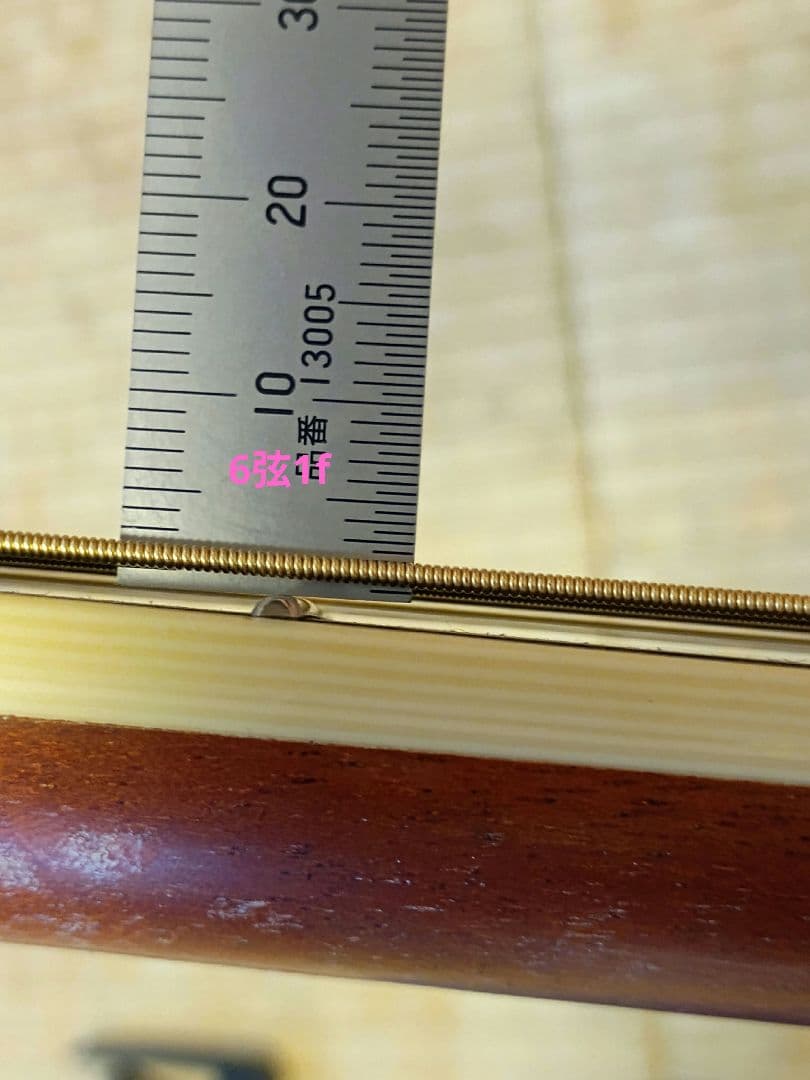 Larrivée OM-01 ラリビー Larrivee RITTERギグバッグ