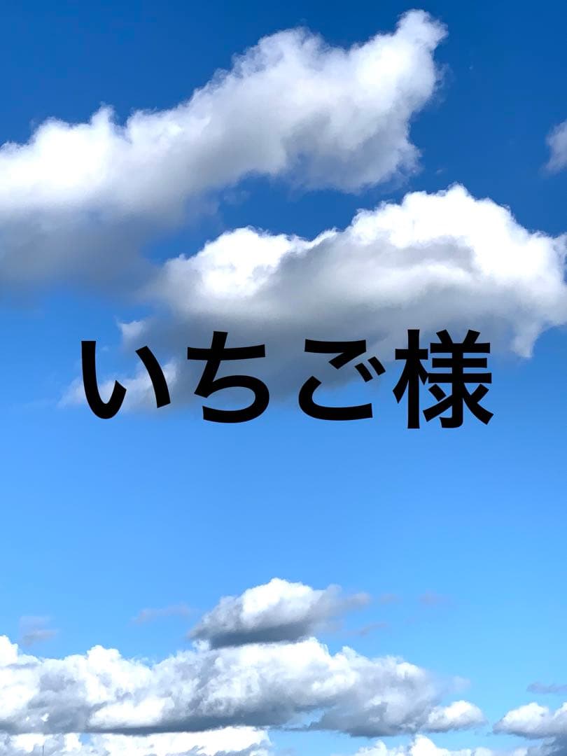 いちご様 リクエスト 10点 まとめ商品