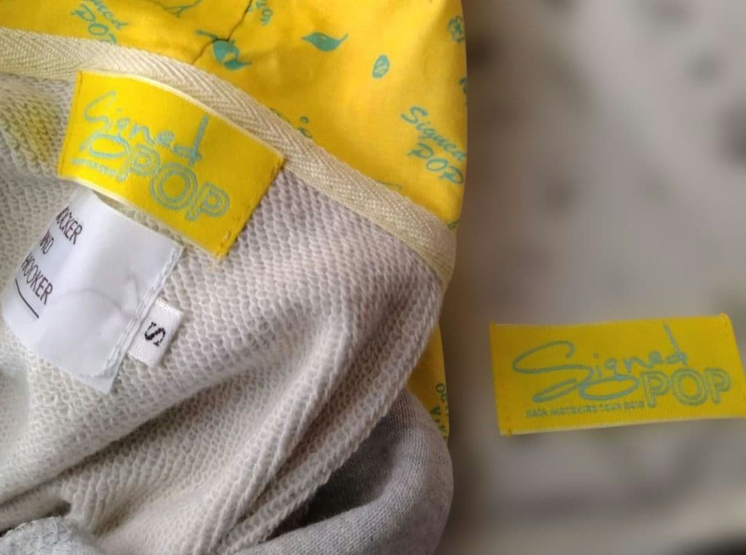 入手困難 秦基博 2013年ツアー グッズ リバーシブルバック と パーカー