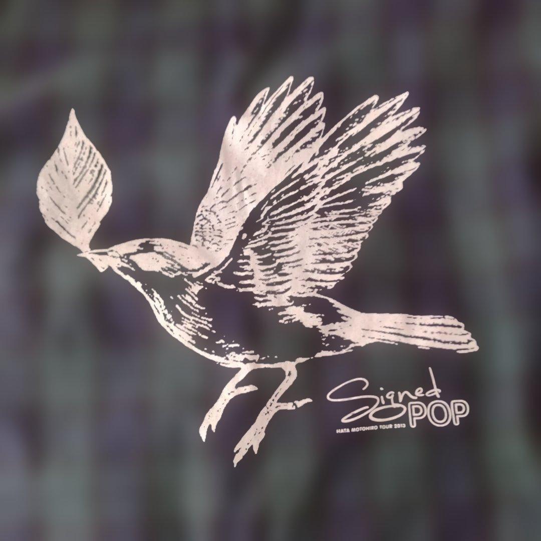 入手困難 秦基博 2013年ツアー グッズ リバーシブルバック と パーカー