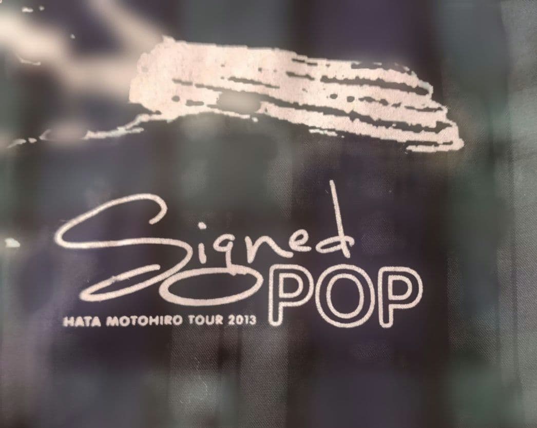 入手困難 秦基博 2013年ツアー グッズ リバーシブルバック と パーカー