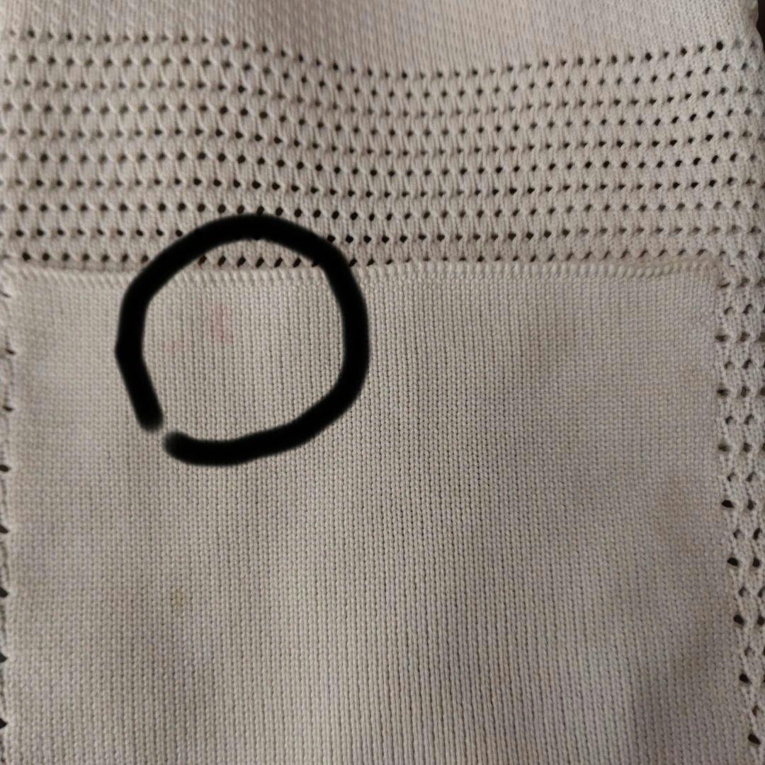 入手困難 秦基博 2013年ツアー グッズ リバーシブルバック と パーカー